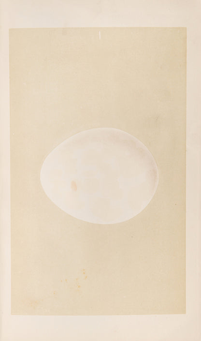 Mixed set of F.O. Morris's History of British Birds and History of Nests and Eggs, 1863-1864.