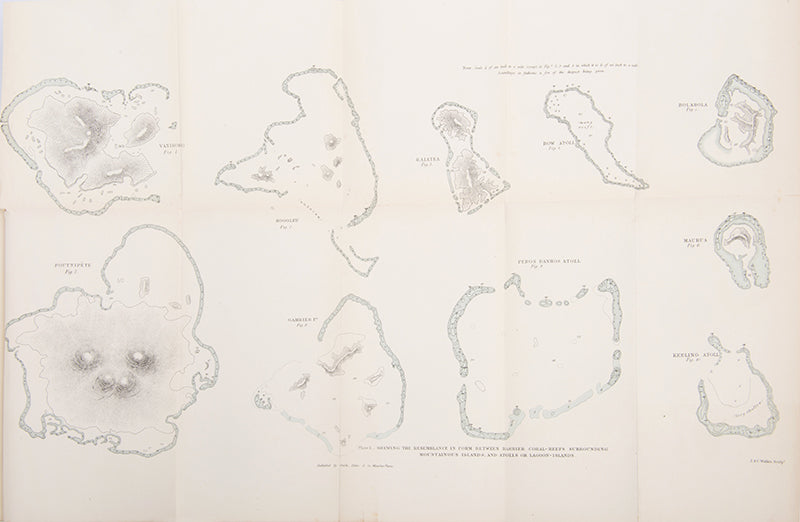 Second edition of one of Charles Darwin's earliest books, The Structure and Distribution of Coral Reefs, uncommon in the original binding.