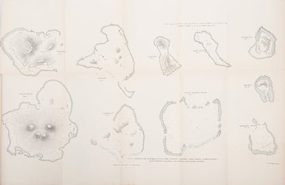 Second edition of one of Charles Darwin's earliest books, The Structure and Distribution of Coral Reefs, uncommon in the original binding.