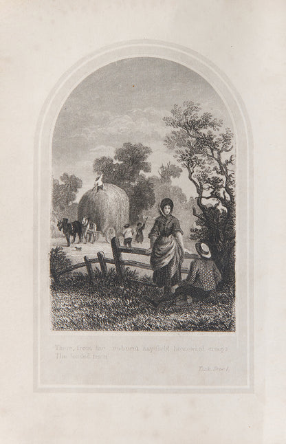 Edition of William Cowper poetry, circa 1849.