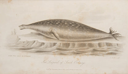 First edition of James Weddell's A Voyage towards the South Pole, one of the first attempts at Antarctica post Cook and the start of modern Antarctic exploration.