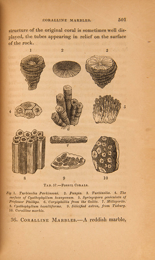 The rare first edition of The Wonders of Geology by Gideon Mantell, the first scientist to describe dinosaur species, with the John Martin mezzotint frontispiece.