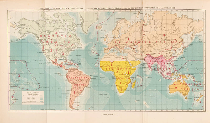 A finely bound first edition of Alfred Russel Wallace's important work on zoogeography, The Geographical Distribution of Animals, published in 1876.