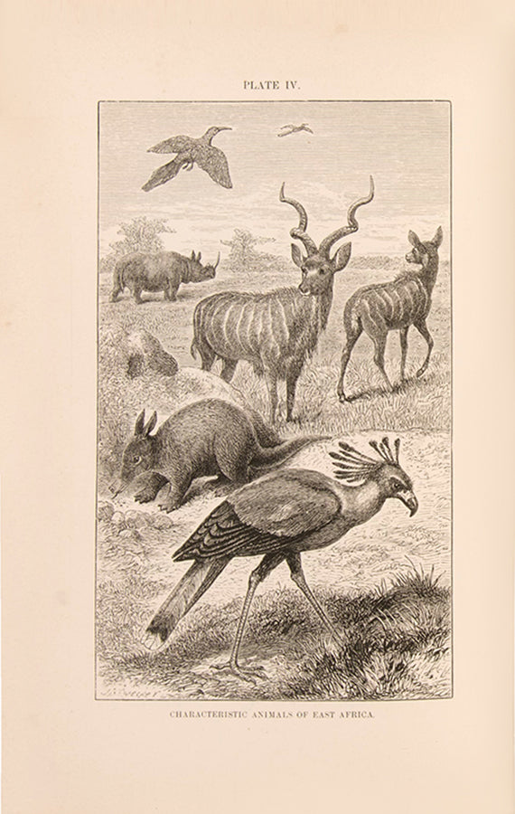 A finely bound first edition of Alfred Russel Wallace's important work on zoogeography, The Geographical Distribution of Animals, published in 1876.