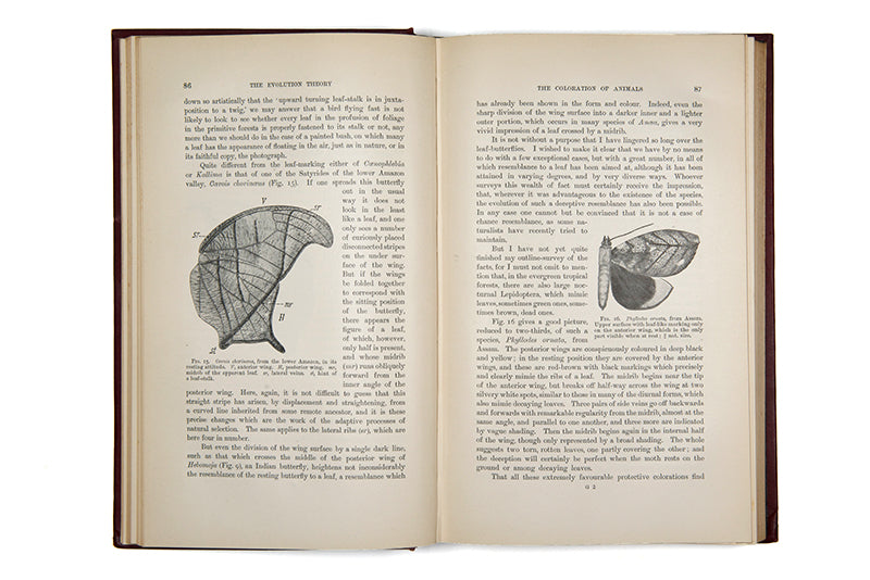 First English language edition of biologist Albert Weismann's The Evolution Theory, an important early work on genetics published in 1904.
