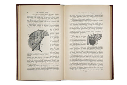 First English language edition of biologist Albert Weismann's The Evolution Theory, an important early work on genetics published in 1904.