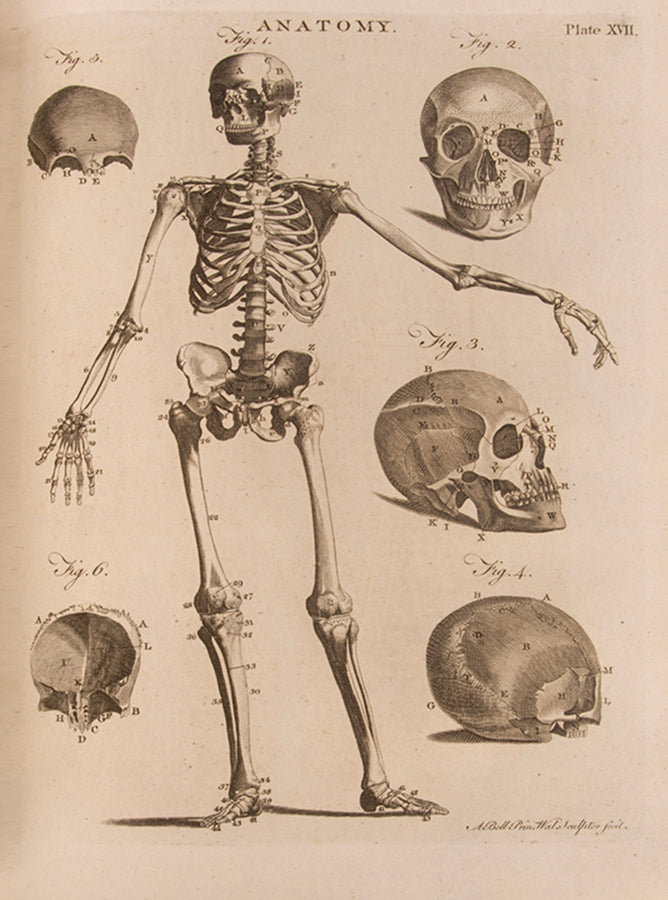 A beautiful set of the third edition of the Encyclopaedia Britannica, complete with the two supplementary volumes, illustrated with 592 engraved plates and maps.