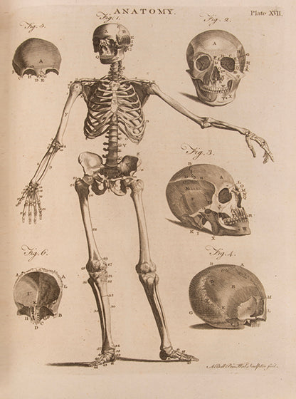 A beautiful set of the third edition of the Encyclopaedia Britannica, complete with the two supplementary volumes, illustrated with 592 engraved plates and maps.