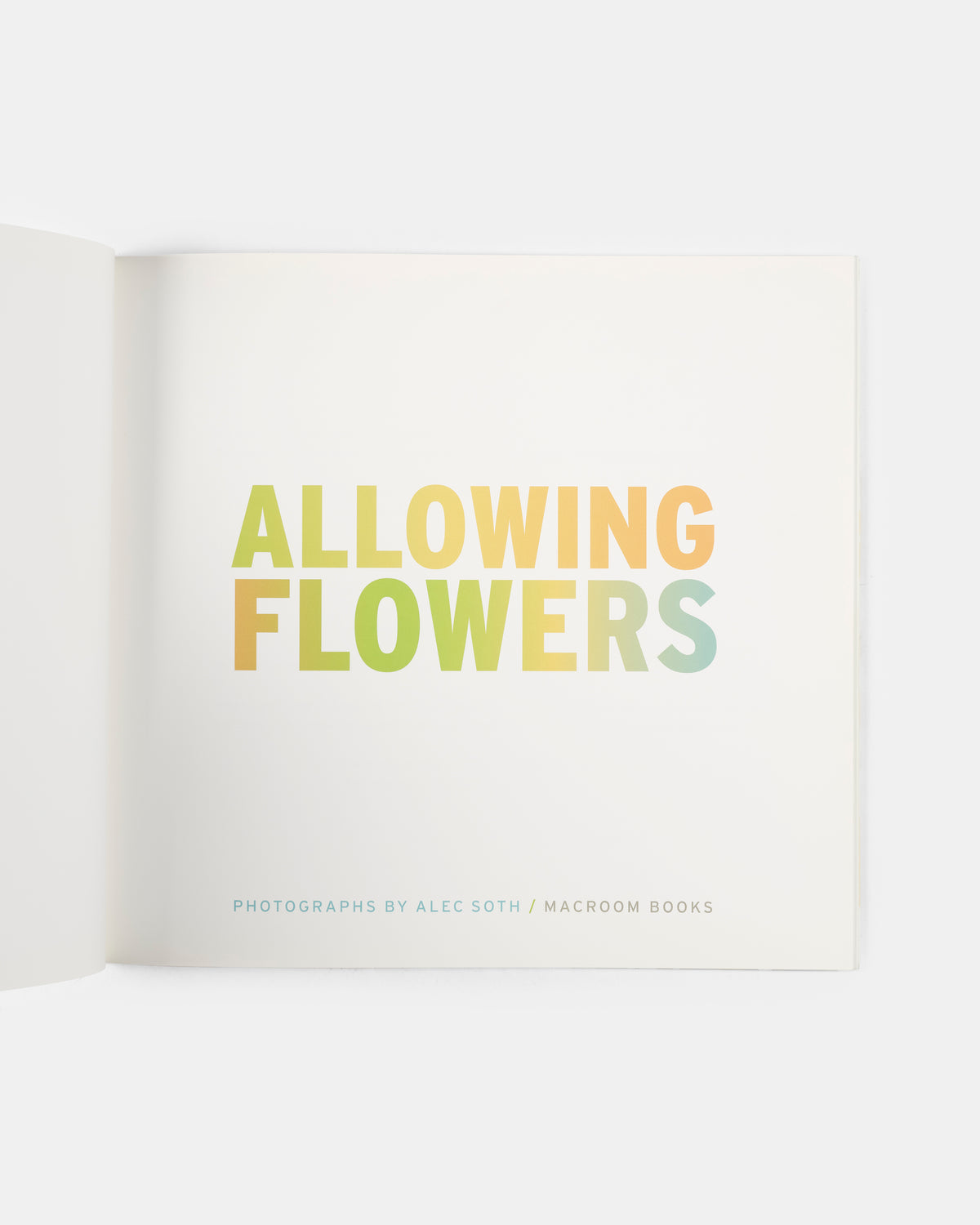 Alec Soth produced Allowing Flowers as part of a fundraising effort by CommonBond Communities, the largest nonprofit housing developer in the Upper Midwest.
