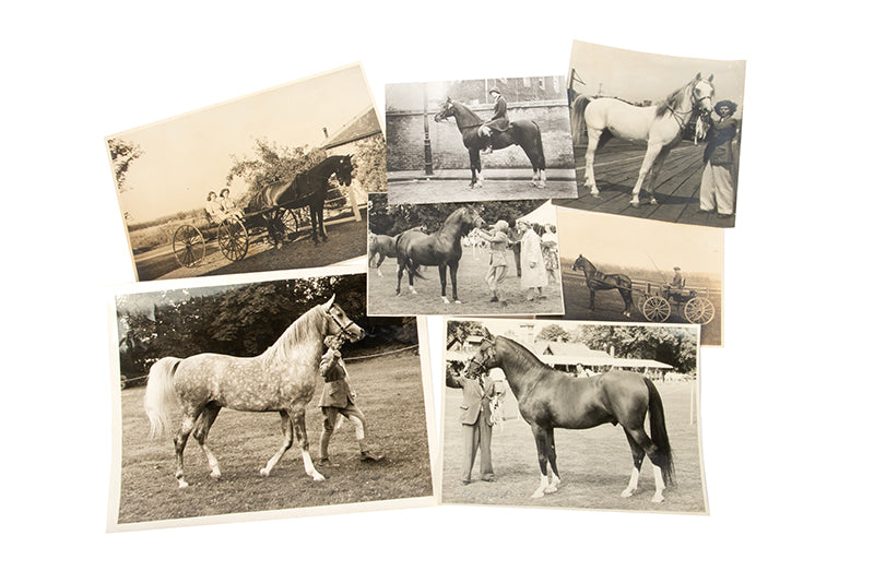 An intimate archive of correspondence between the first and second Arabian Horse Studs in England, Crabbet and Courthouse Farm, from Lady Anne Blunt and her daughter Judith to Henry Vyvyan Musgrave Clark.