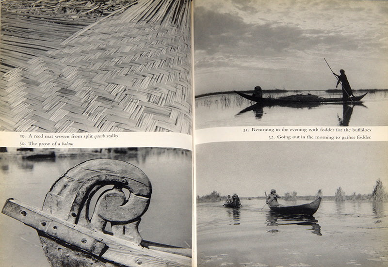 First edition of Wilfrid Thesiger's Marsh Arabs, his account of his time with the marsh Arabs of southern Iraq in the 1950's.