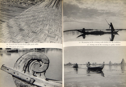 First edition of Wilfrid Thesiger's Marsh Arabs, his account of his time with the marsh Arabs of southern Iraq in the 1950's.