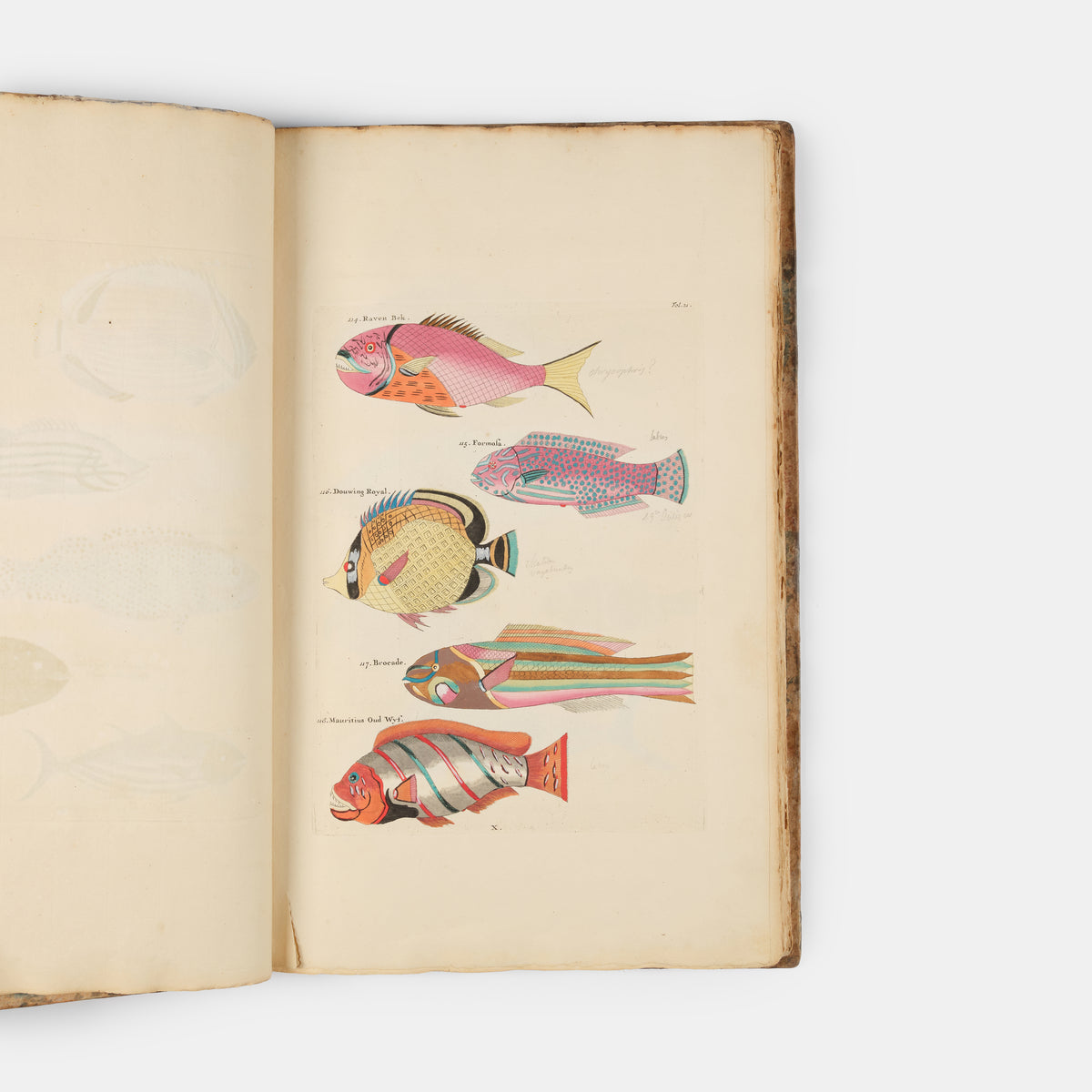 The second edition of Louis Renard's Poissons, Ecrevisses et Crabes, the first colour printed book on fish, among the rarest and most beautiful of all works of this type.
