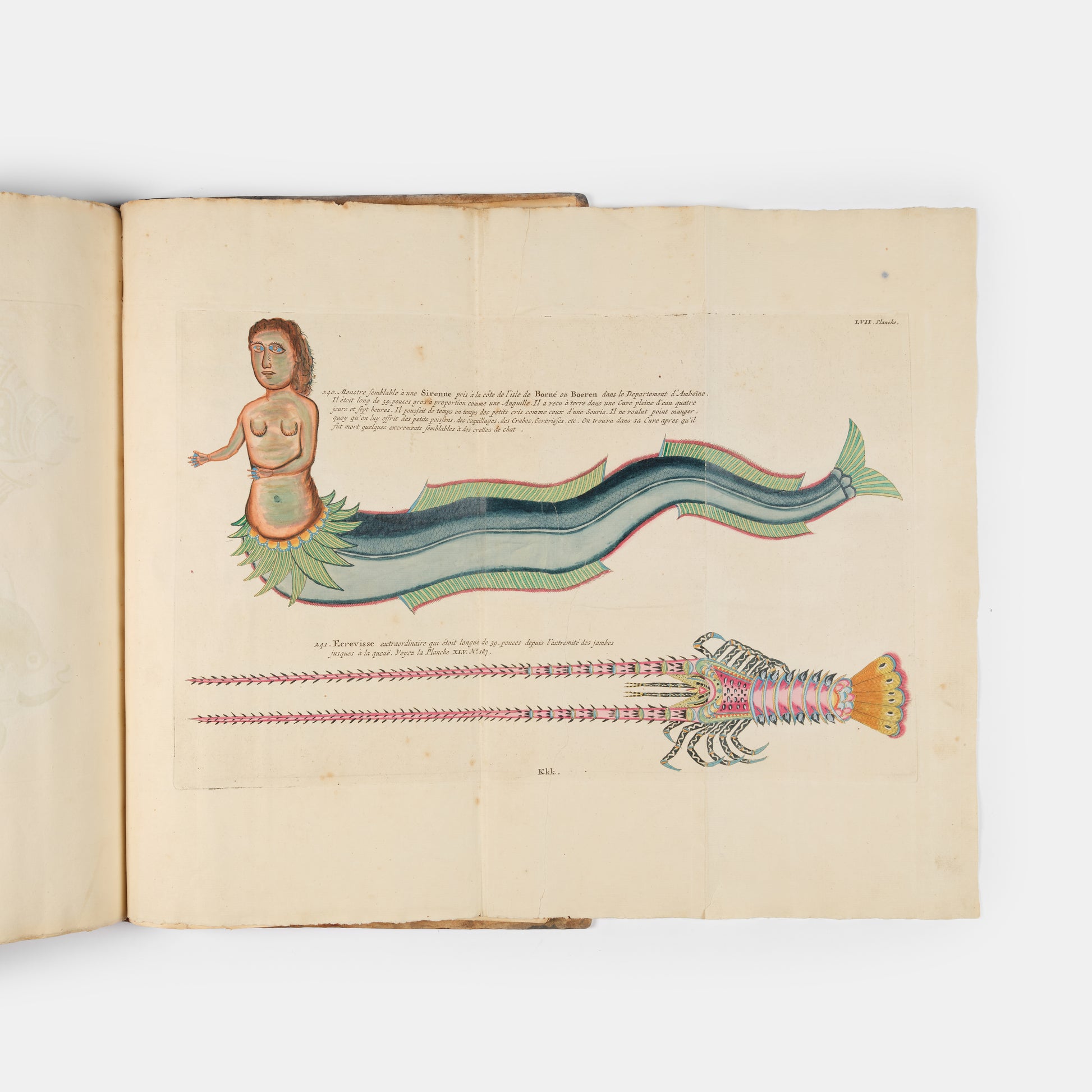 The second edition of Louis Renard's Poissons, Ecrevisses et Crabes, the first colour printed book on fish, among the rarest and most beautiful of all works of this type.