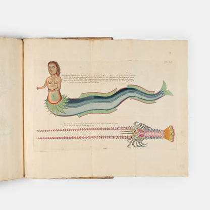 The second edition of Louis Renard's Poissons, Ecrevisses et Crabes, the first colour printed book on fish, among the rarest and most beautiful of all works of this type.