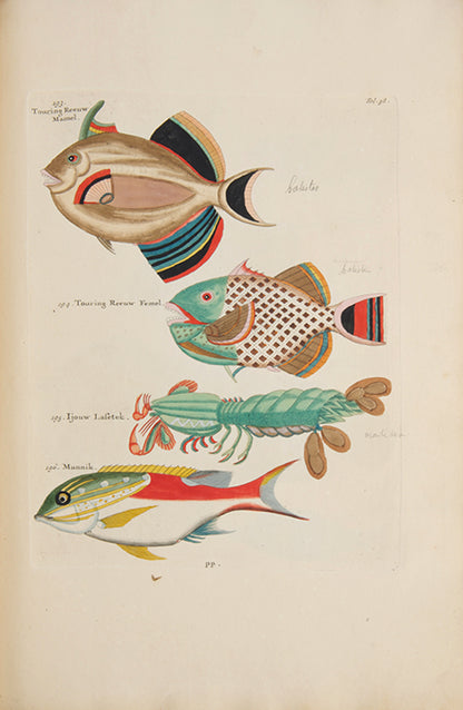 The second edition of Louis Renard's Poissons, Ecrevisses et Crabes, the first colour printed book on fish, among the rarest and most beautiful of all works of this type.