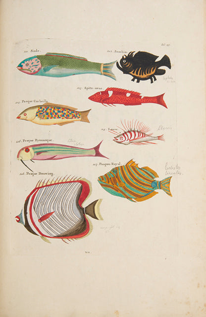 The second edition of Louis Renard's Poissons, Ecrevisses et Crabes, the first colour printed book on fish, among the rarest and most beautiful of all works of this type.