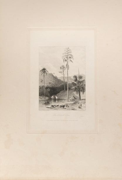 Vues de l'Inde.