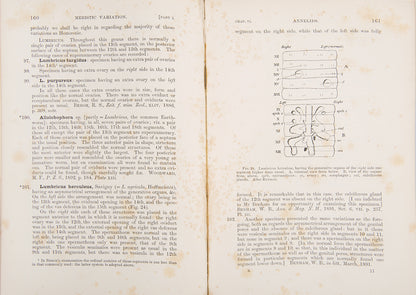 First edition of William Bateson's Materials for the Study of Variation, his most important book published before he became a founder of genetics.