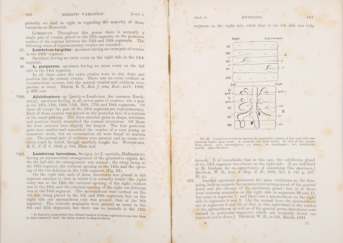 First edition of William Bateson's Materials for the Study of Variation, his most important book published before he became a founder of genetics.