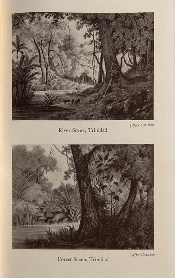 First edition of West Indian Summer by James Pope-Hennessy, 1943.