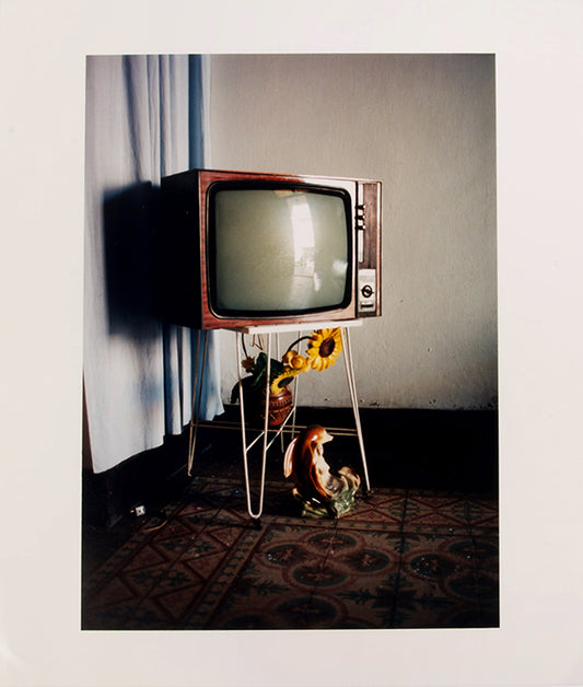 Nick Waplington has had solo shows at the Tate Britain and The Photographers Gallery in London among other institutions. His works are part of the permanent collections of the Solomon R. Guggenheim Museum, Victoria and Albert Museum, and the Philadelphia Museum of Art.