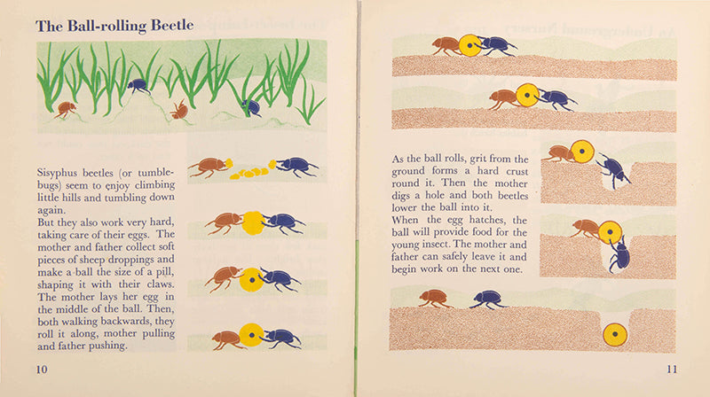 First edition of the children's book The Wonder World of Insects by graphic design pioneer Marie Neurath, in the rare dust jacket.