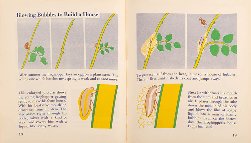 First edition of the children's book The Wonder World of Insects by graphic design pioneer Marie Neurath, in the rare dust jacket.