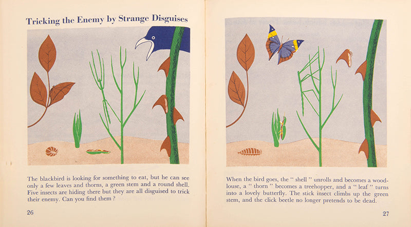 First edition of the children's book The Wonder World of Insects by graphic design pioneer Marie Neurath, in the rare dust jacket.