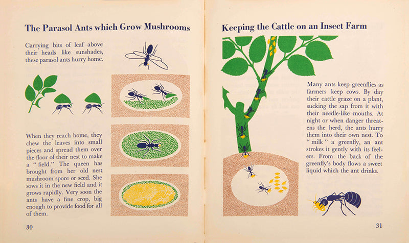 First edition of the children's book The Wonder World of Insects by graphic design pioneer Marie Neurath, in the rare dust jacket.