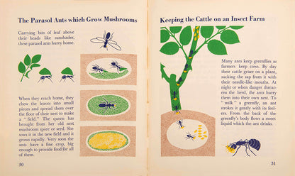 First edition of the children's book The Wonder World of Insects by graphic design pioneer Marie Neurath, in the rare dust jacket.