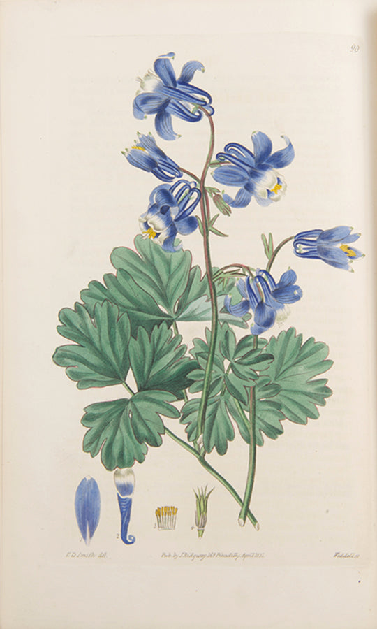 First editions, a rare complete set of both series of Robert Sweet's monumental work The British Flower Garden, with over 7,000 hand-coloured illustrations.
