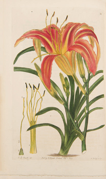 First editions, a rare complete set of both series of Robert Sweet's monumental work The British Flower Garden, with over 7,000 hand-coloured illustrations.