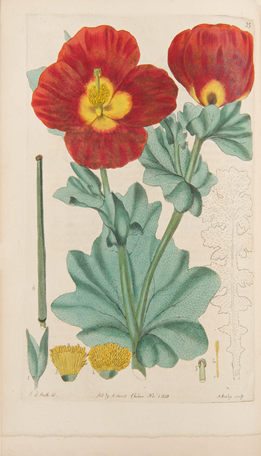 First editions, a rare complete set of both series of Robert Sweet's monumental work The British Flower Garden, with over 7,000 hand-coloured illustrations.