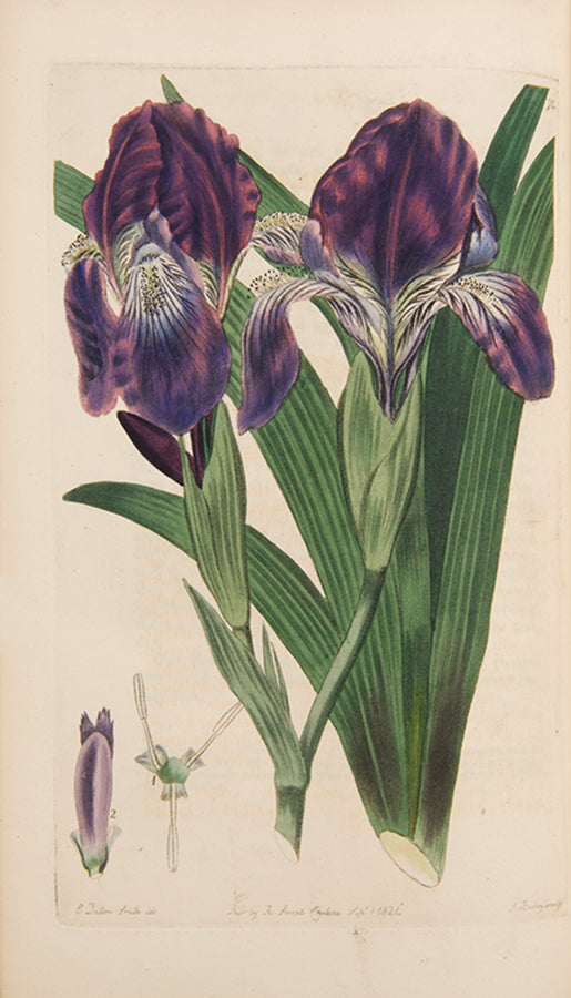 First editions, a rare complete set of both series of Robert Sweet's monumental work The British Flower Garden, with over 7,000 hand-coloured illustrations.