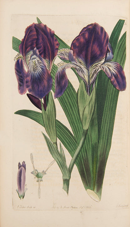 First editions, a rare complete set of both series of Robert Sweet's monumental work The British Flower Garden, with over 7,000 hand-coloured illustrations.