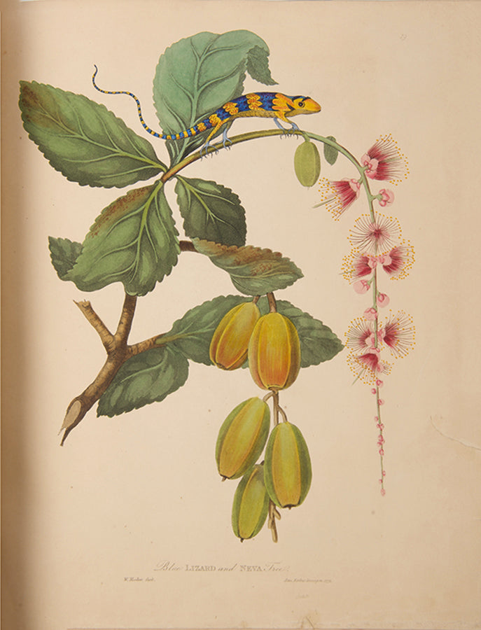 Second edition of James Forbes's Oriental Memoirs, with numerous fine natural history plates by Sir William Hooker.