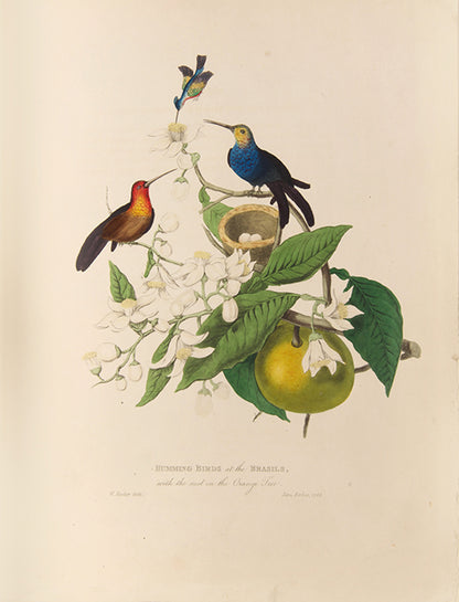 Second edition of James Forbes's Oriental Memoirs, with numerous fine natural history plates by Sir William Hooker.