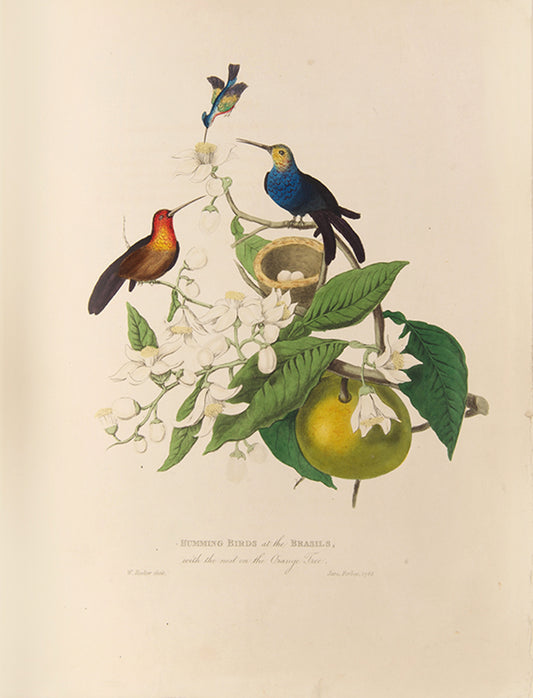 Second edition of James Forbes's Oriental Memoirs, with numerous fine natural history plates by Sir William Hooker.