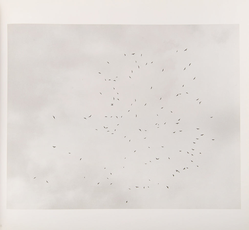 The Pond is John Gossage's visual meditation on Thoreau's stay at Walden Pond. This copy is inscribed to Gus Blaisdell.