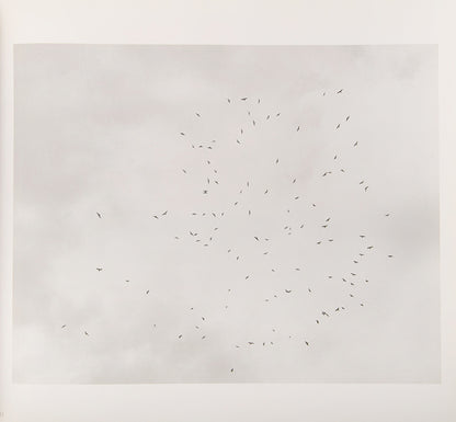 The Pond is John Gossage's visual meditation on Thoreau's stay at Walden Pond. This copy is inscribed to Gus Blaisdell.