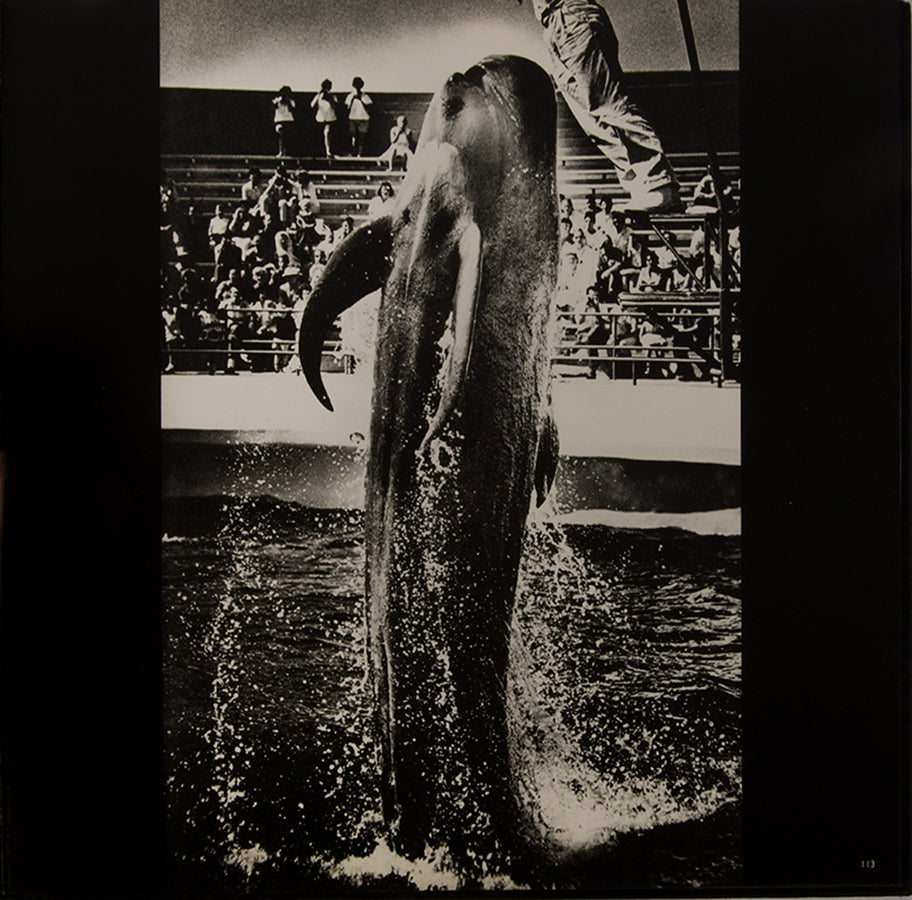 Ed van der Elsken's Sweet Life, like William Klein's New York and Andy Warhol's Moderna Museet catalogue, was an important influence on the emerging generation of Provoke-era Japanese photographers, who took many of the ideas in these books to extreme conclusions.