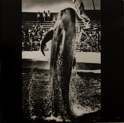 Ed van der Elsken's Sweet Life, like William Klein's New York and Andy Warhol's Moderna Museet catalogue, was an important influence on the emerging generation of Provoke-era Japanese photographers, who took many of the ideas in these books to extreme conclusions.