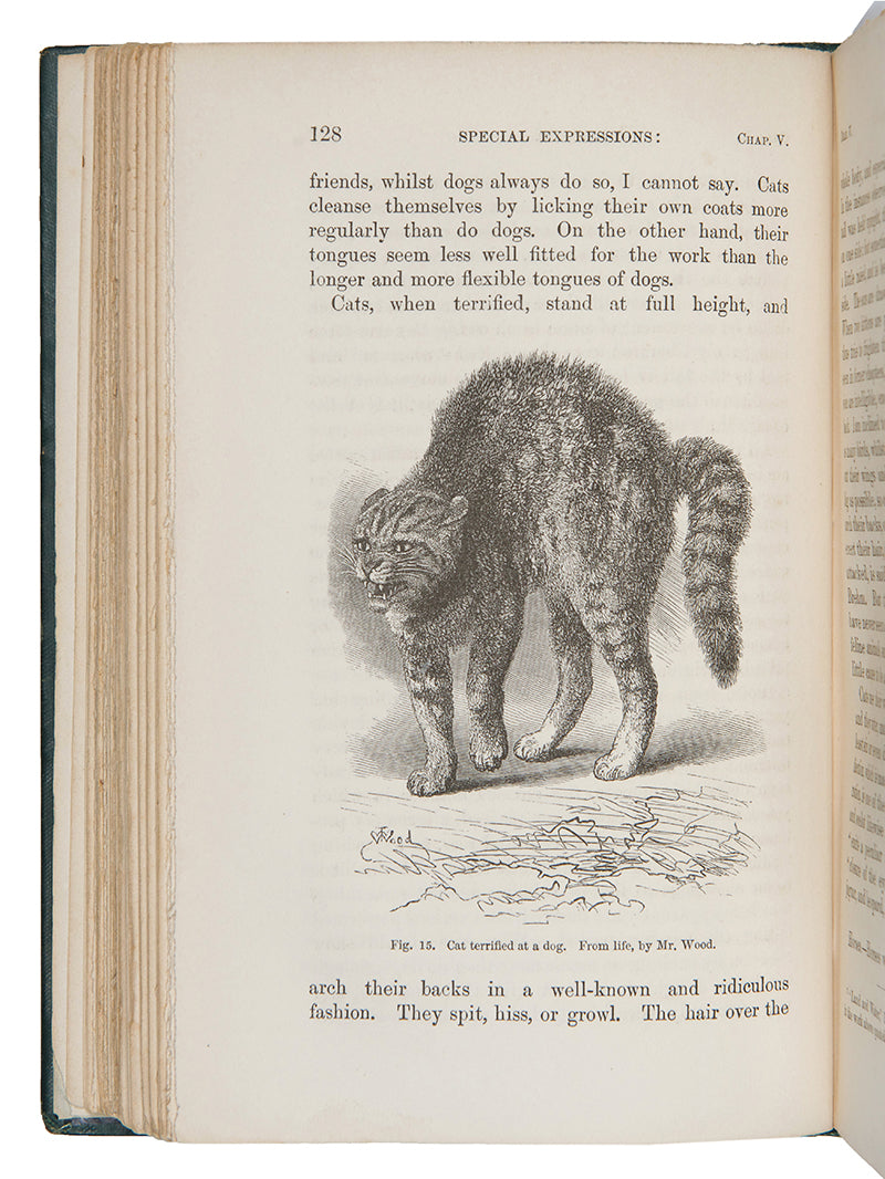 First edition, second issue of The Expression of the Emotions in Man and Animals by Charles Darwin, published in 1872.