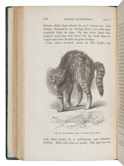 First edition, second issue of The Expression of the Emotions in Man and Animals by Charles Darwin, published in 1872.