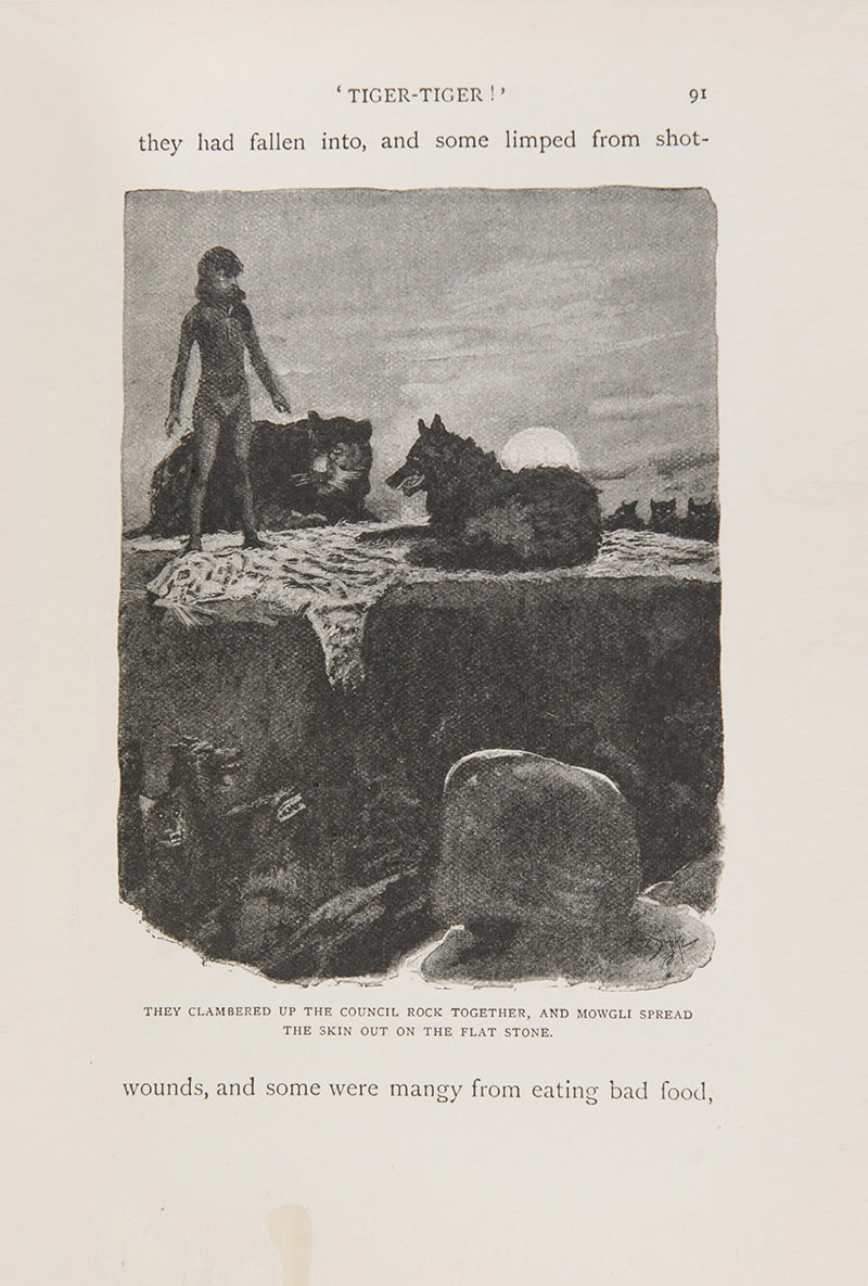 An attractive set of Kipling's. The Jungle Book and The Second Jungle Book, his best known collection of stories, famously made into a film; 2 volumes, <br />