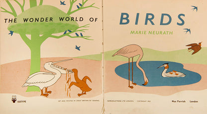 First edition of the children's book The Wonder World of Birds by graphic design pioneer Marie Neurath, in the rare dust jacket.