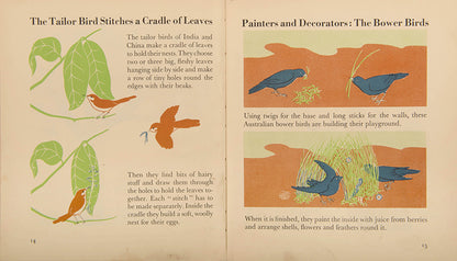First edition of the children's book The Wonder World of Birds by graphic design pioneer Marie Neurath, in the rare dust jacket.