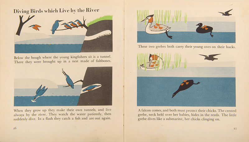 First edition of the children's book The Wonder World of Birds by graphic design pioneer Marie Neurath, in the rare dust jacket.