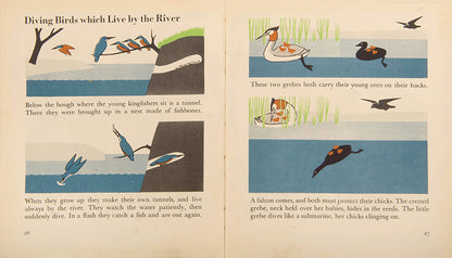 First edition of the children's book The Wonder World of Birds by graphic design pioneer Marie Neurath, in the rare dust jacket.